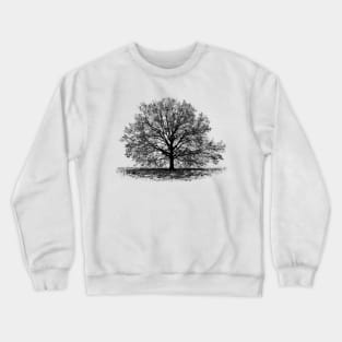 Graphic of a tree Crewneck Sweatshirt